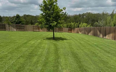Photo of Jennifer R.'s yard after getting lawn care in Euless, TX