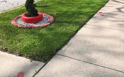 Photo of Caleb W.'s yard after getting lawn care in Lake Forest, IL