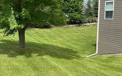 Photo of Jailyn R.'s yard after getting lawn care in Eden Prairie, MN