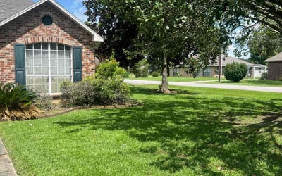 Photo of Michelle G.'s yard after getting lawn care in Breaux Bridge, LA