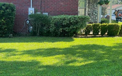 Photo of Stephanie B.'s yard after getting lawn care in Bellview, FL