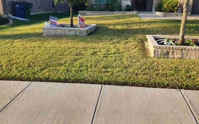 Photo of Angela M.'s yard after getting lawn care in Waxahachie, TX