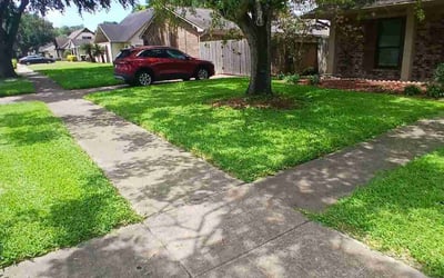 Photo of Raymond M.'s yard after getting lawn care in Palm Coast, FL