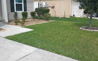 Photo of Cliff H.'s yard after getting lawn care in Tenafly, NJ