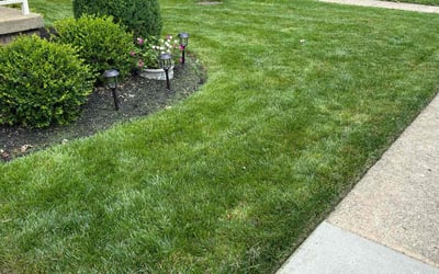 Photo of Joanna W.'s yard after getting lawn care in Manassas, VA