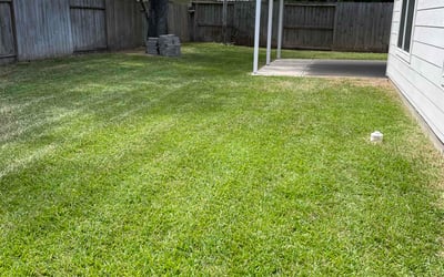 Photo of Jon H.'s yard after getting lawn care in Dayton, TX