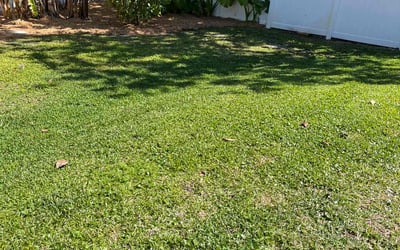 Photo of Ray C.'s yard after getting lawn care in Meridian, ID