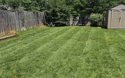 Photo of Norman D.'s yard after getting lawn care in Hesperia, CA