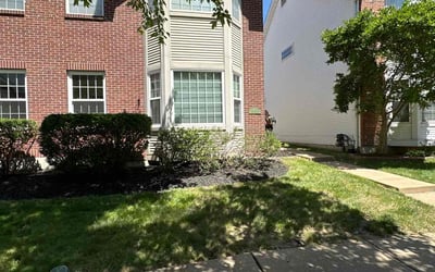 Photo of Danielle S.'s yard after getting lawn care in Castaic, CA