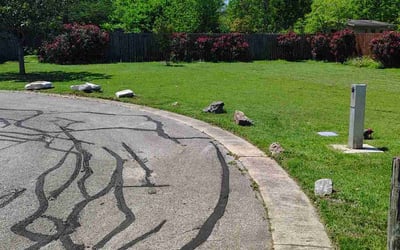Photo of Brittany A.'s yard after getting lawn care in Buda, TX