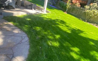 Photo of Tiffanie K.'s yard after getting lawn care in Bothell West, WA