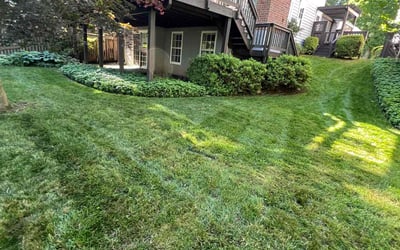 Photo of Keyva R.'s yard after getting lawn care in Gaithersburg, MD