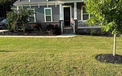 Photo of Ashley R.'s yard after getting lawn care in Denver, NC