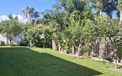 Photo of Christine E.'s yard after getting lawn care in Troutdale, OR