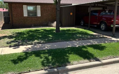 Photo of Linda P.'s yard after getting lawn care in Roseville, MI