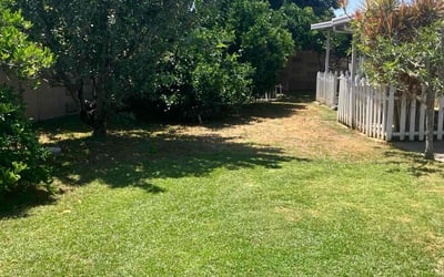 Photo of Richard D.'s yard after getting lawn care in La Habra, CA