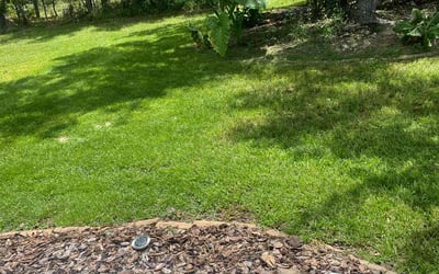 Photo of Pamela W.'s yard after getting lawn care in Brooksville, FL
