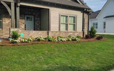 Photo of Allan (.'s yard after getting lawn care in Oneonta, AL