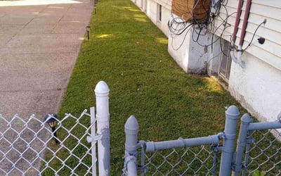 Photo of Miguel S.'s yard after getting lawn care in Paterson, NJ