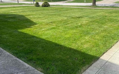Photo of Gervan S.'s yard after getting lawn care in Bedford Heights, OH
