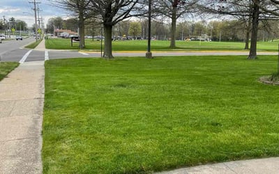 Photo of Mary D.'s yard after getting lawn care in North Canton, OH