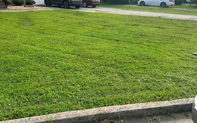 Photo of Savannah S.'s yard after getting lawn care in Sandston, VA