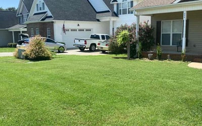 Photo of Alexandra B.'s yard after getting lawn care in Anderson, SC