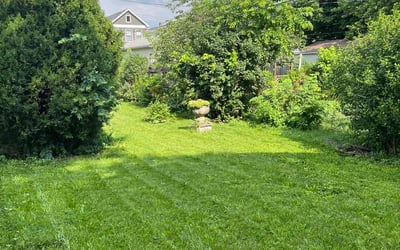 Photo of Katrena W.'s yard after getting lawn care in Alexandria, KY