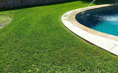 Photo of Sena A.'s yard after getting lawn care in Plano, TX