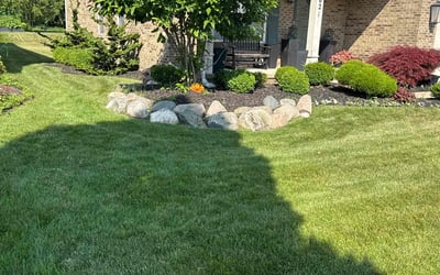 Photo of Jamie C.'s yard after getting lawn care in Hamilton, OH