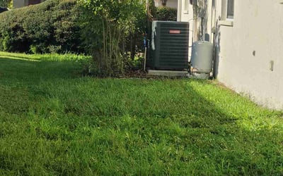 Photo of Lamiya B.'s yard after getting lawn care in Aliquippa, PA