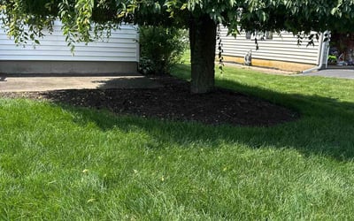 Photo of Karen R.'s yard after getting lawn care in Santa Clarita, CA