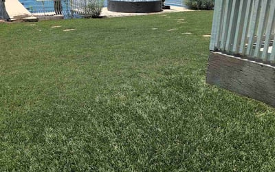 Photo of Henry T.'s yard after getting lawn care in Saint Charles, IL