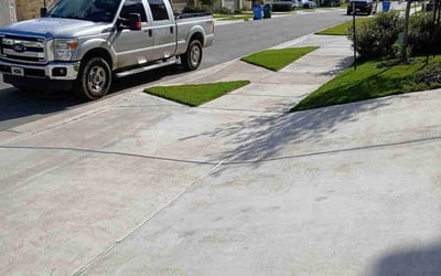 Photo of Matt K.'s yard after getting lawn care in Dunnellon, FL