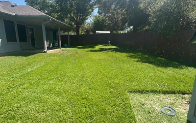 Photo of Jennifer J.'s yard after getting lawn care in Novato, CA