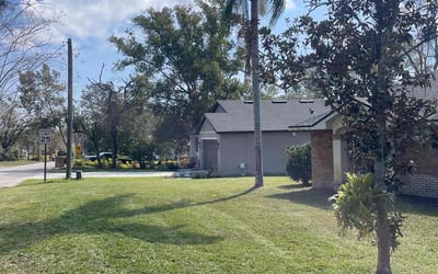 Photo of Sheila H.'s yard after getting lawn care in North Arlington, NJ