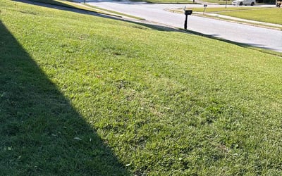 Photo of John C.'s yard after getting lawn care in College Park, GA