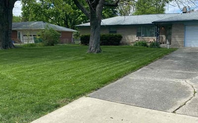 Photo of James A.'s yard after getting lawn care in Egg Harbor Township, NJ