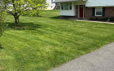 Photo of David B.'s yard after getting lawn care in Elkins Park, PA