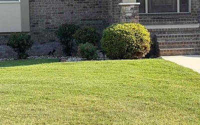 Photo of Jean C.'s yard after getting lawn care in Madison, AL
