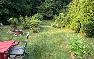 Photo of Sarah H.'s yard after getting lawn care in Bridgewater, MA