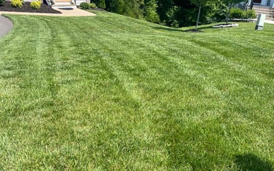 Photo of Marilynn H.'s yard after getting lawn care in Lafayette, IN