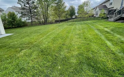 Photo of Elton C.'s yard after getting lawn care in Beavercreek, OH