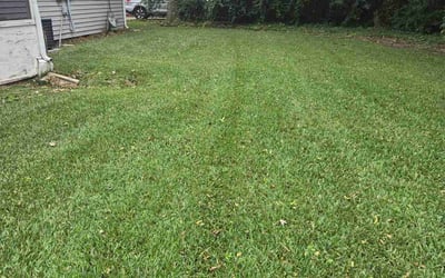 Photo of Carlos R.'s yard after getting lawn care in Virginia Beach, VA