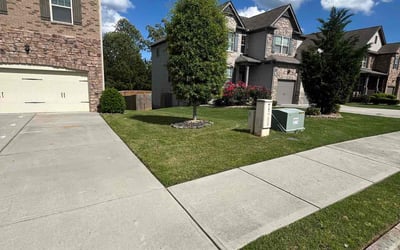 Photo of Christopher B.'s yard after getting lawn care in Atlanta, GA