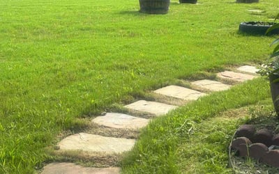 Photo of Brandon N.'s yard after getting lawn care in Clayton, NC