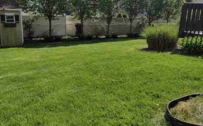 Photo of Kathy N.'s yard after getting lawn care in Toms River, NJ