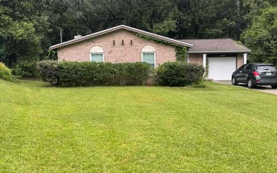 Photo of Tyris R.'s yard after getting lawn care in Union, NJ