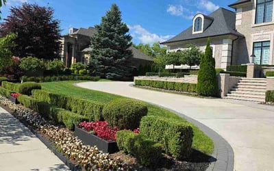 Photo of Rich C.'s yard after getting lawn care in Grovetown, GA