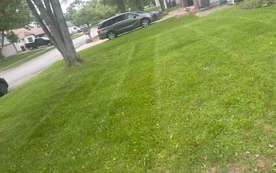 Photo of Lucy C.'s yard after getting lawn care in Wayne, PA